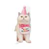 Pet Party Birthday Dress Up Saliva Scarf Bib Scarf Dog Cat Hat Accessories Supplies
