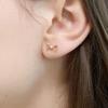 [LsSHOP] 14K Cardo Ribbon Earrings (Gold Plated)_LJ5133BRE
