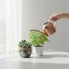 Golden 500ML Stainless Steel Watering Can with Long Spout - Green Plant Sprayer & Small Garden Sprinkler