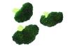 Speed mao Realistic Broccoli Food Sample Set of 6 Models,