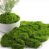 Bionic Moss Bonsai Ornament - Landscaping Turf Arrangement for Lawn and Paving Decoration