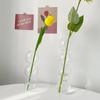 Modern Glass Vase Simple Spherical Flower Vase Table Decoration Hydroponic Flower Pot  Living Room