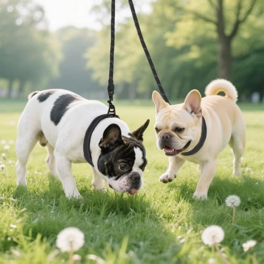 Strong Dual Dog Leash Reflective Double Lead Pet Leash Twin Lead for Two Dogs Walking Leash