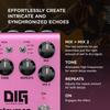 V2 Dig Dual Digital Delay Strymon/DIG