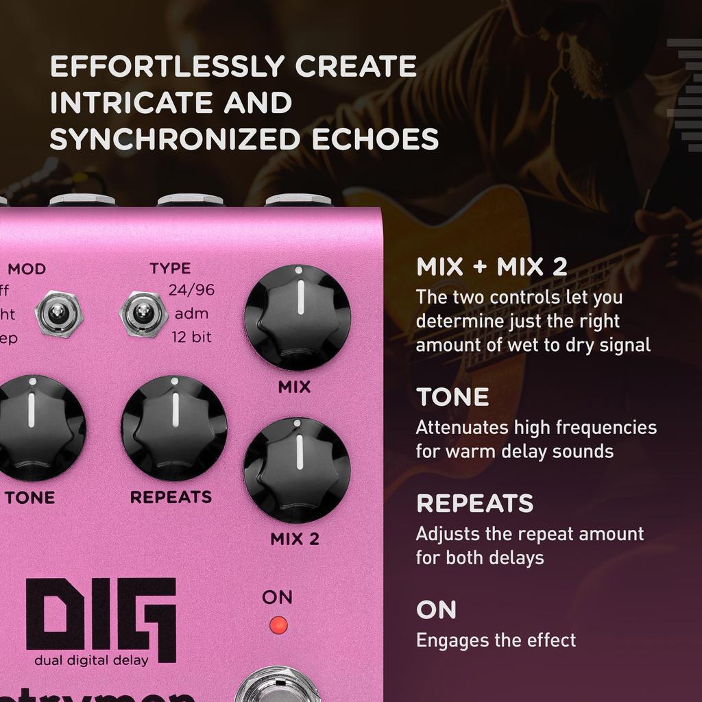 V2 Dig Dual Digital Delay Strymon/DIG