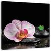 Canvas Print Zen Orchid Flower