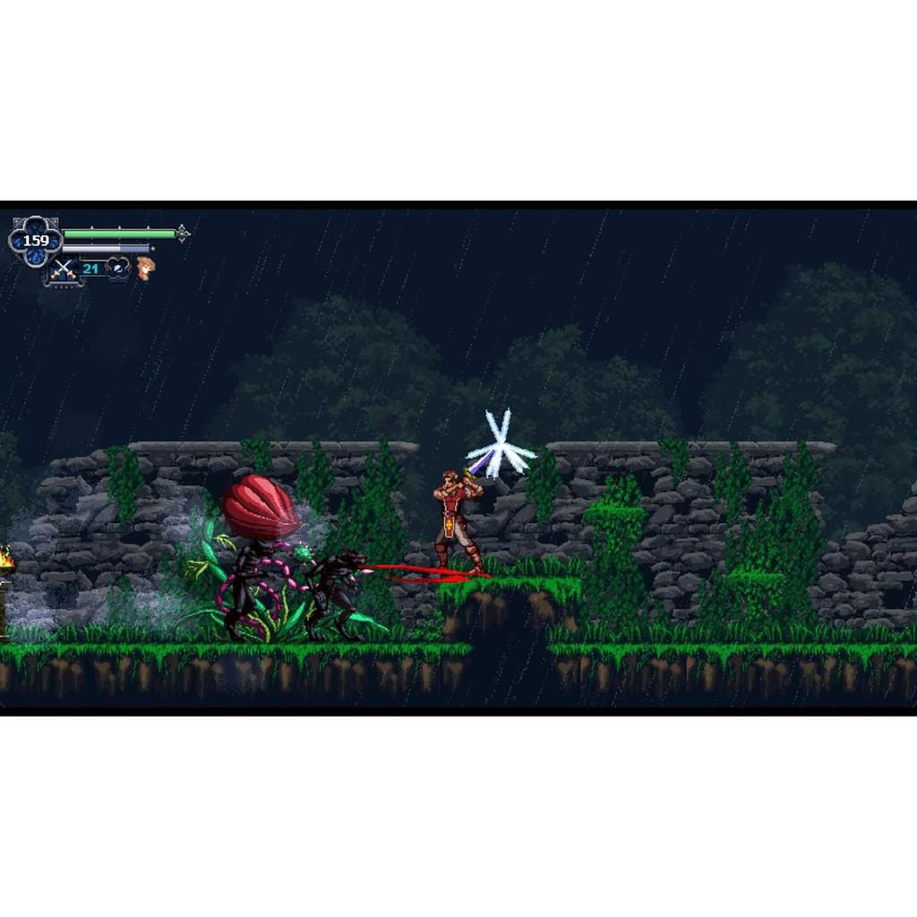 PQube Chronicles of the Wolf Nintendo Switch Game, US Import North American Version Action Adventure RPG