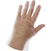 100 PCS Disposable TPE Gloves Food Service