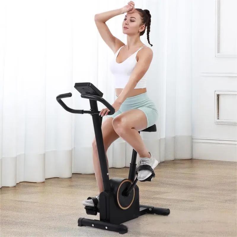 WEZHO Magnetic Spin Bike