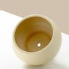 Ceramic Flower Pot with Tray for Orchids and Succulents