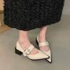 2025 Женские туфли на толстом каблуке Осень Новые Остроносые С мелким вырезом Металлическая пряжка Противоскользящие Износостойкие Туфли с низким верхом