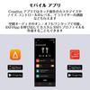 Креативные Aurvana Ace SXFI с двумя драйверами (Динамический драйвер 10 мм x MEMS) Полностью беспроводные наушники с пространственным звуком (HS-AVASFI-BK)