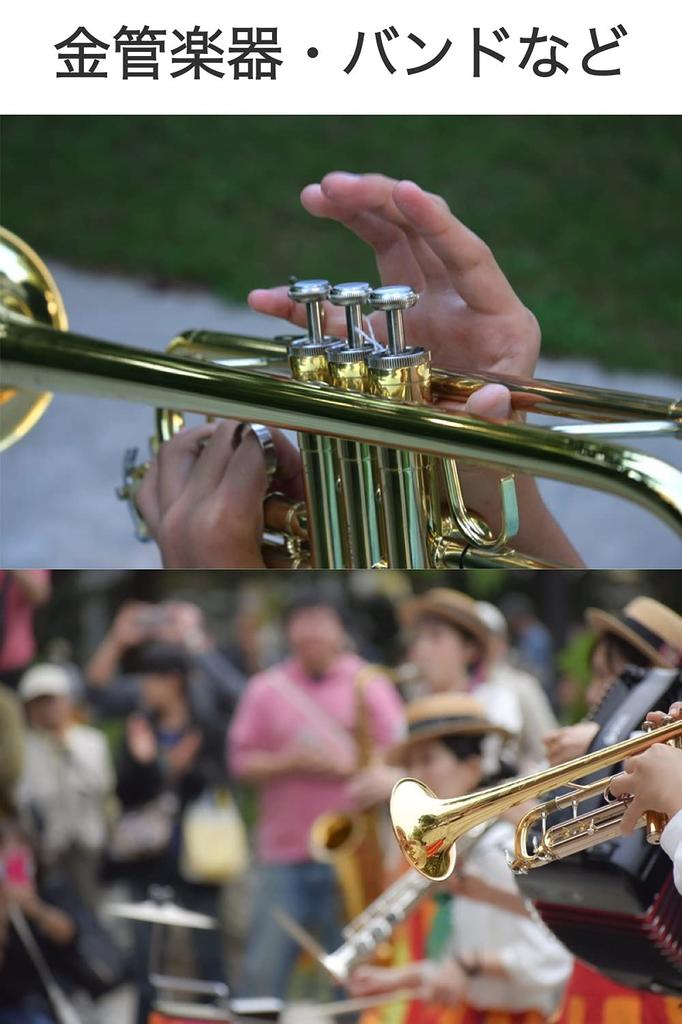 Wumio Мундштук для трубы Матовое золото Начинающий