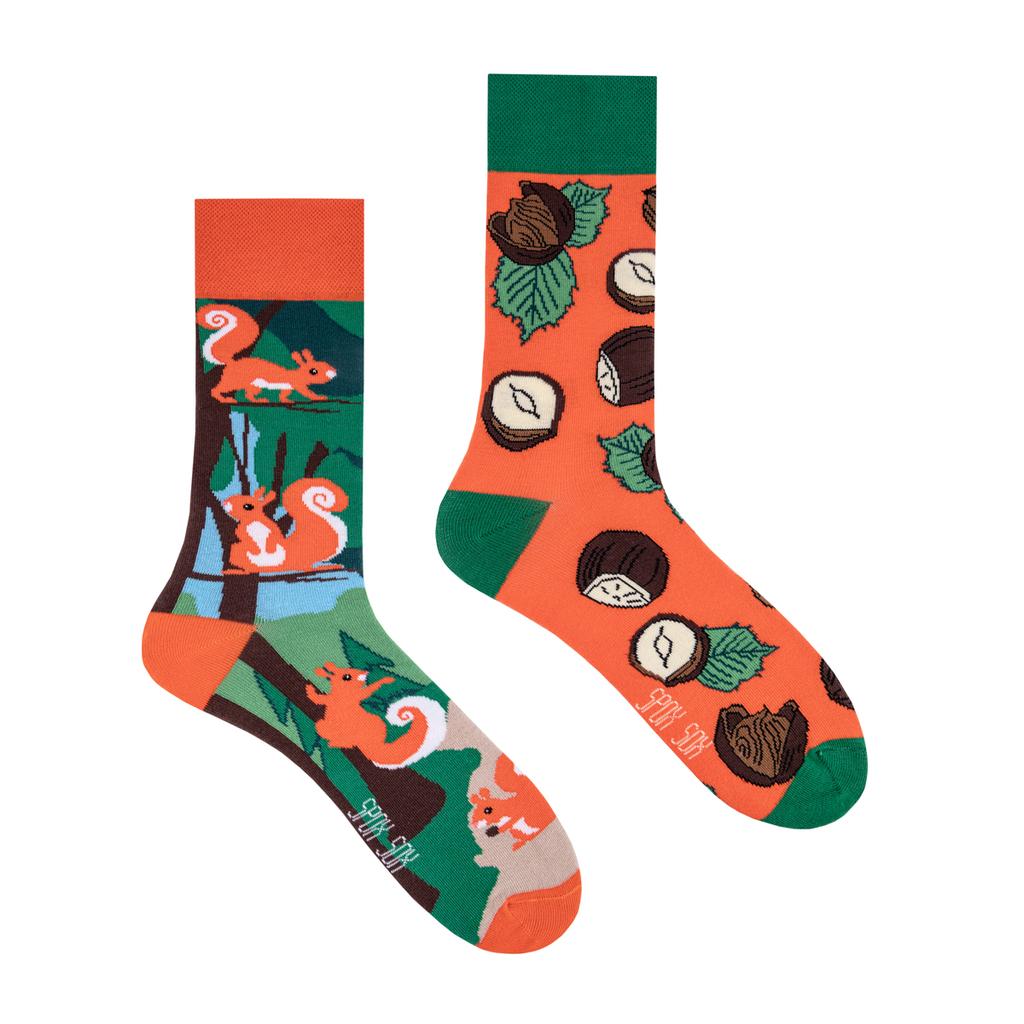 Squirrels - Colorful Socks 40-43