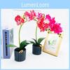 Simulated Phalaenopsis Potted Artificial Flower For Wedding Decor And Indoor Display