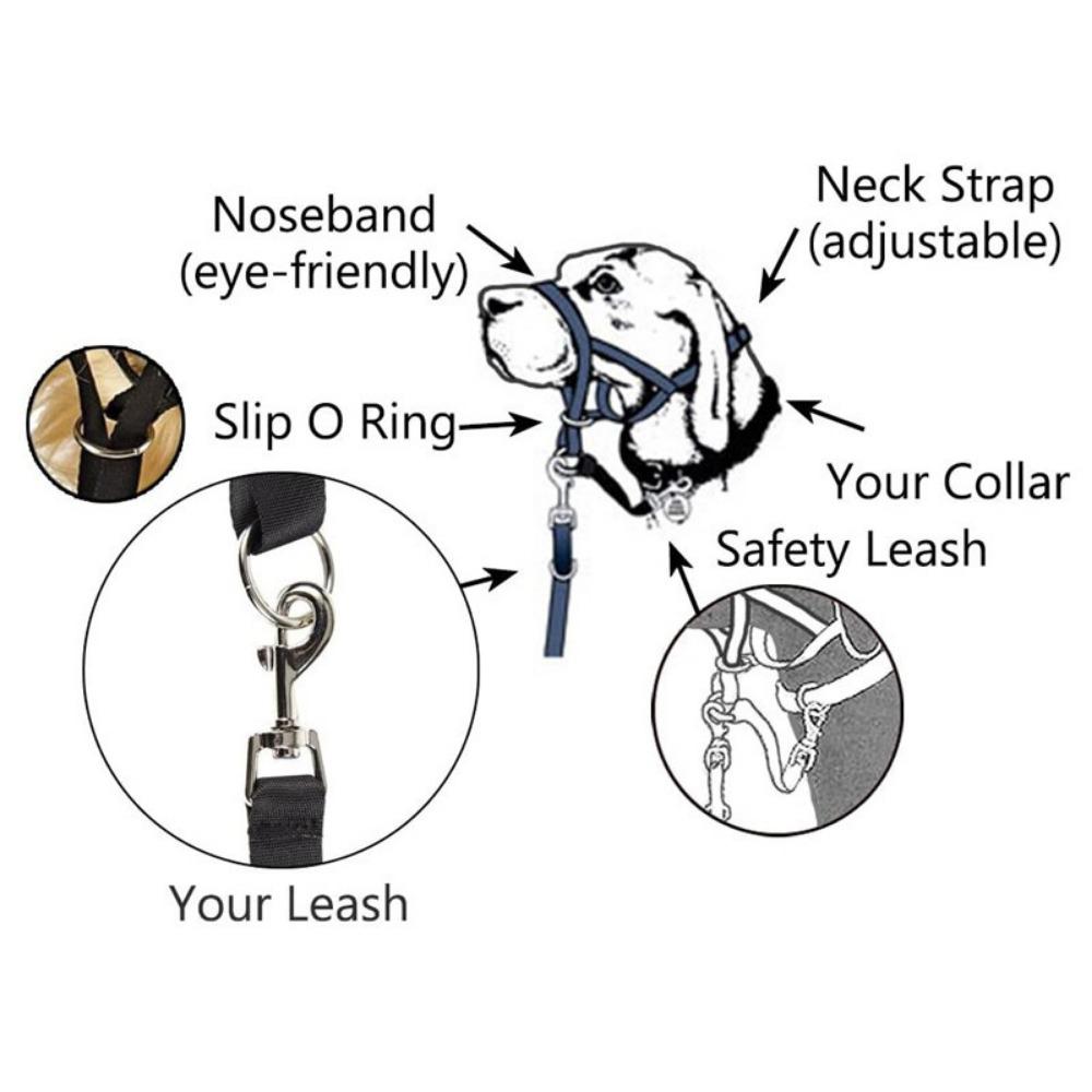 Dogs Prevent from Biting Pet Traction Training Belt Dog Mouth Cover Harness Pet Muzzle Dog Collar