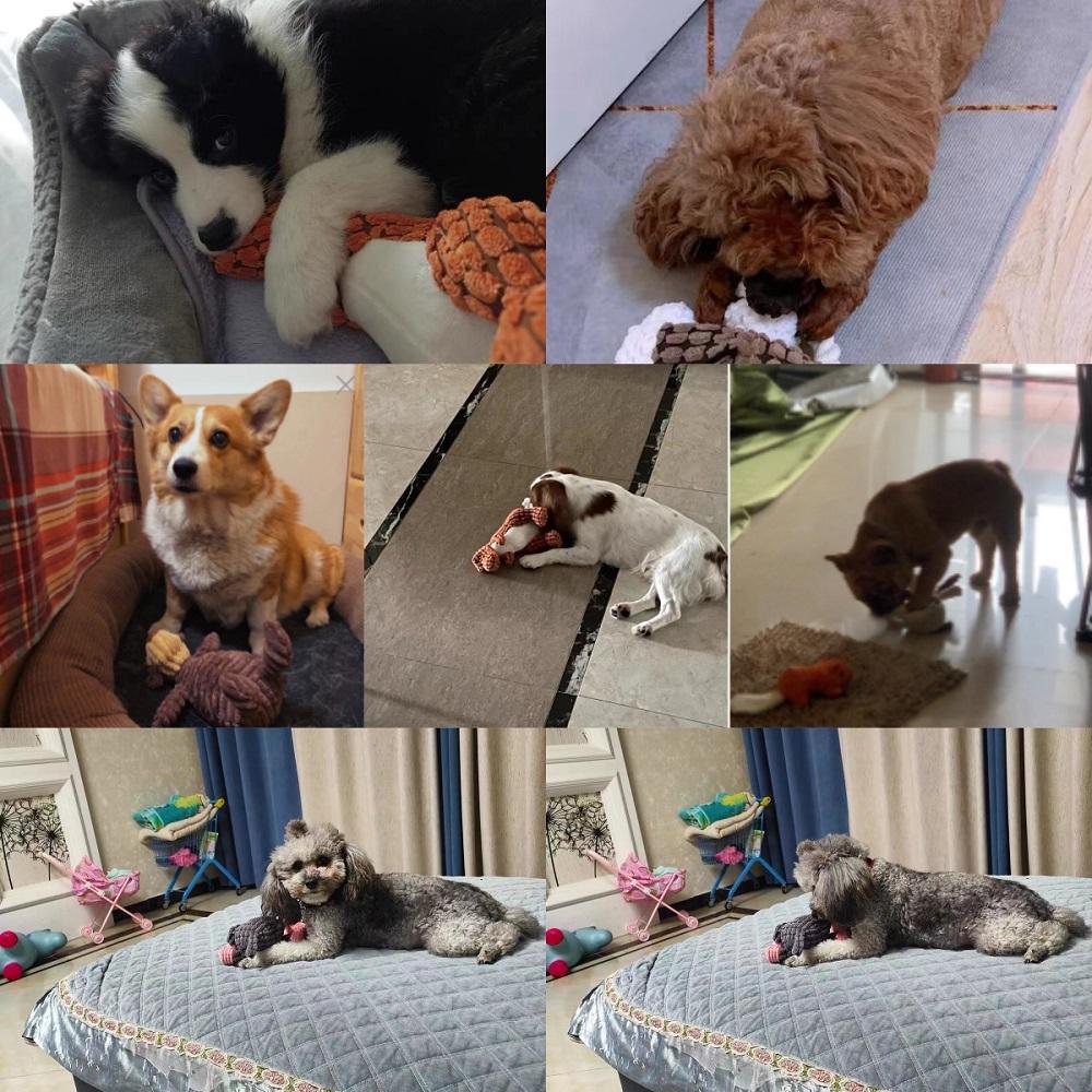 Игрушки-пищалки в форме животных, плюшевые игрушки для собак, симпатичные, устойчивые к укусам, вельветовые игрушки для маленьких и больших собак, аксессуары для щенков и собак