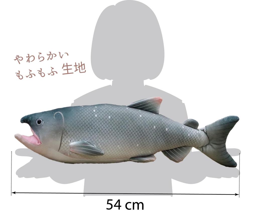 Takeoff Sea and Fish Salmon