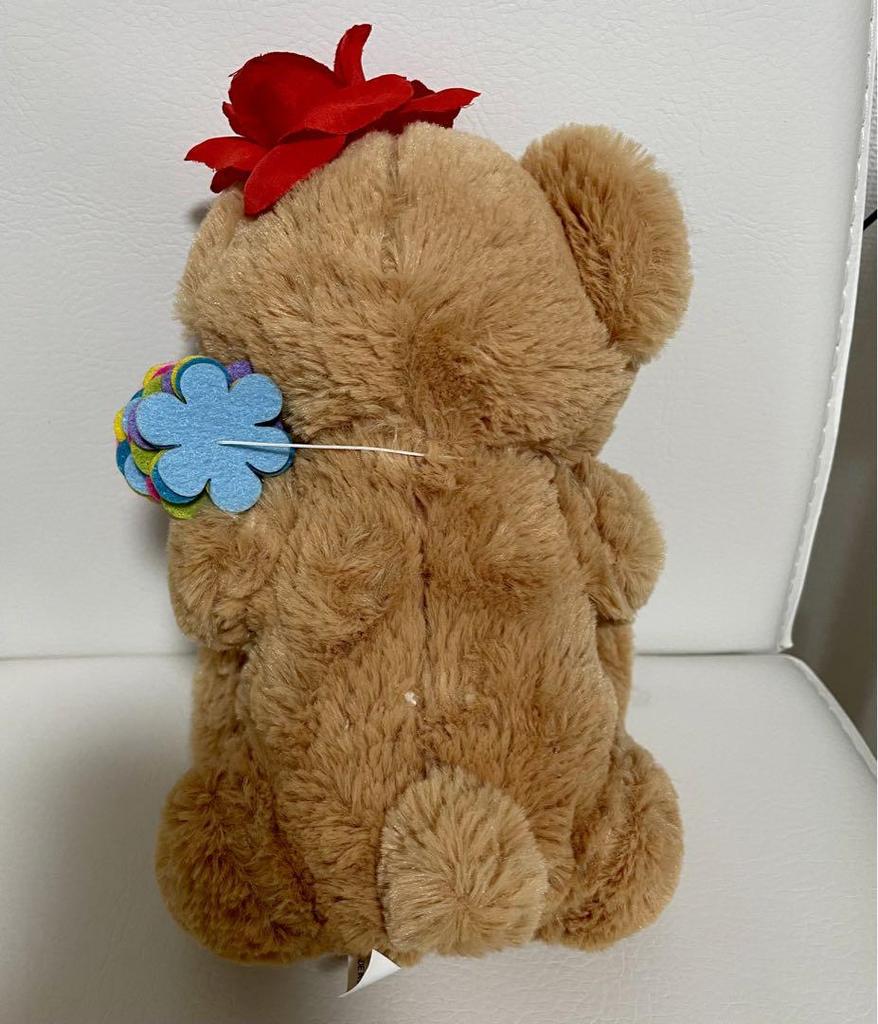 [USED] Stuffed Teddy Bear