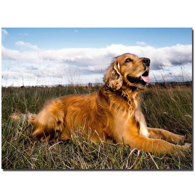 5d алмазная живопись «сделай сам» Золотистый ретривер Картины Алмазная вышивка