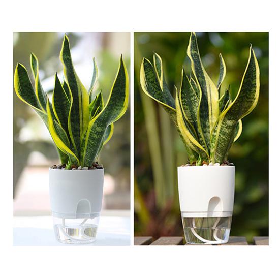 Цветочный горшок Yousheng с дренажными отверстиями, отверстием для залива воды, автоматическим самополивом, гидропонным цветочным горшком, прозрачным основанием, гидропонной посадкой