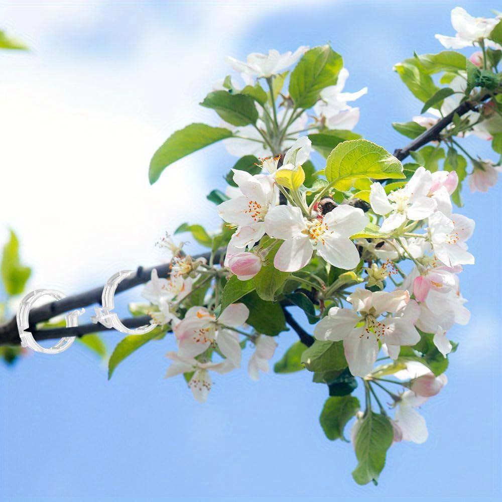 50 шт. защищенные пластиковые зажимы для растений, обновленные зажимы для поддержки растений, садовые зажимы для вьющихся растений, пластиковые зажимы для шпалер, зажимы для фиксации растений, овощей