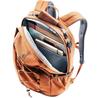 Рюкзак Deuter Gogo chestnut/umbra (3813224-6616)