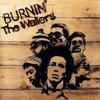 LP Record BOB MARLEY, WAILERS - Burnin' (180Gram Viinyl) 0600753600672 Island/Tuff Gon 1973 US Reggae, Ska & Dub
