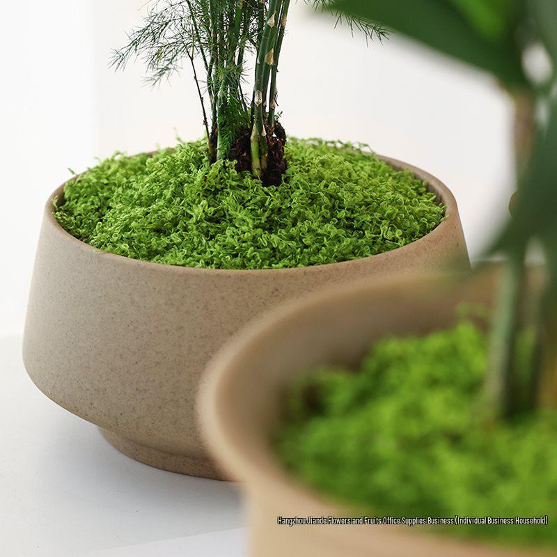 Bionic Artificial Moss Turf Micro Landscape Ornaments for Bonsai and Potted Plant Landscaping