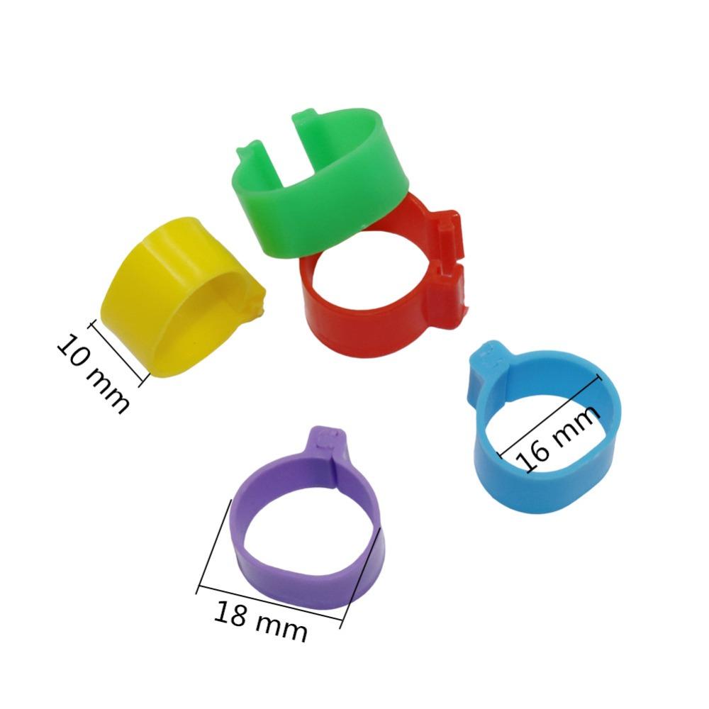 500 PCS Poultry Foot ring chicken Birds Quail Chick Duckling Pigeon 1.6 cm Inner Diameter Recognition foot ring Chicken tools