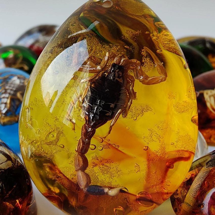 Pendant Inclusion Scorpions Necklace Charms Home Decorative Stone Travel Gift Resin Handmake Jewelry Amber Natural Insects