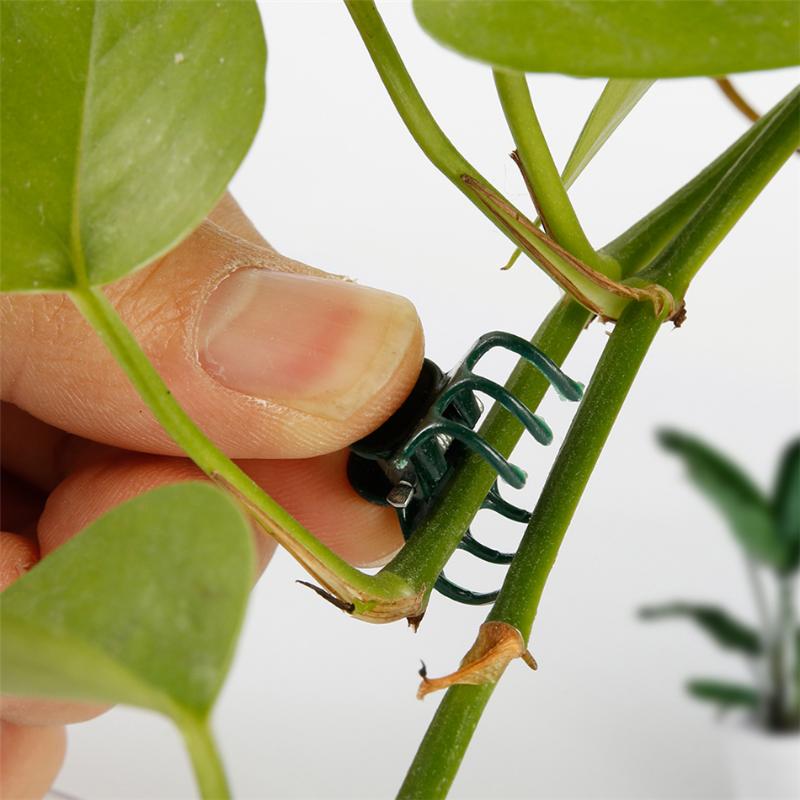 50 шт. пластиковые зажимы для поддержки растений, зажим для стебля орхидеи для поддержки лозы, овощей, завязанный цветок, пучок ветвей, зажимной садовый инструмент