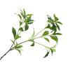 Long Lasting Fake Green Leaves No Watering Beautiful Artificial Pieris Japonica Branch Decor