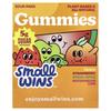 Enjoy Small Wins, Gummies, Sour Packs, Peach, Strawberry, Green Apple, Watermelon-Lime, 6 Packs, 50g (1.8oz) Each