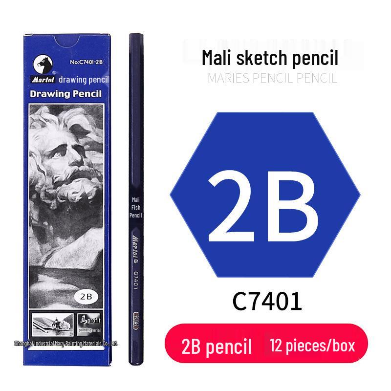 Mali Student Sketching & Drawing Pencil Set: Includes 2B, 4B, 14B soft, medium, hard, and charcoal pencils ideal for art exams.