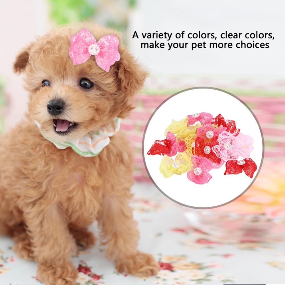 20Pcs Lace Trim Pet Hair Tie Bow Shape Pet Lace Headwear Dog Hair Flower Festival Styling