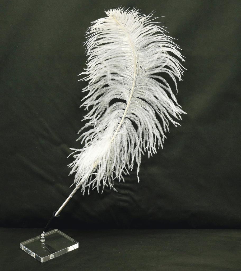 Набор из 2 штук латунных роторных ручек банкира с большим пером страуса, прозрачная акриловая подставка для ручек с черной ручкой и белым пером, японская обработка + держатель,