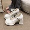 Spice Girl Patent Leather Thick Heel Single Shoes Mary Jane Shoes New Retro Fashion Niche Small Leather Shoes High Heels Women