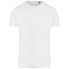 Ecologie Mens Ambaro Sports T-Shirt