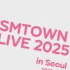 Smtown Sackercone Pink Blood Pink Stone Подарок Подарок Подарок Одеяло Тапочки 