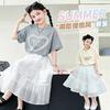 Short sleeved thin girls' summer short sleeved T-shirt cake skirt two-piece set 2026 new stylish children's lace skirt
