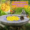 Floating Bee Island Garden Bee Drinking Tray Flower-Shaped Bee And Butterfly Water Station for Outdoor Decor Thirsty Pollinators