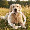 Solid Elastic Pet Chew Toy Colorful Pull Ring Dog Molar Ring  Pet Mood Calming