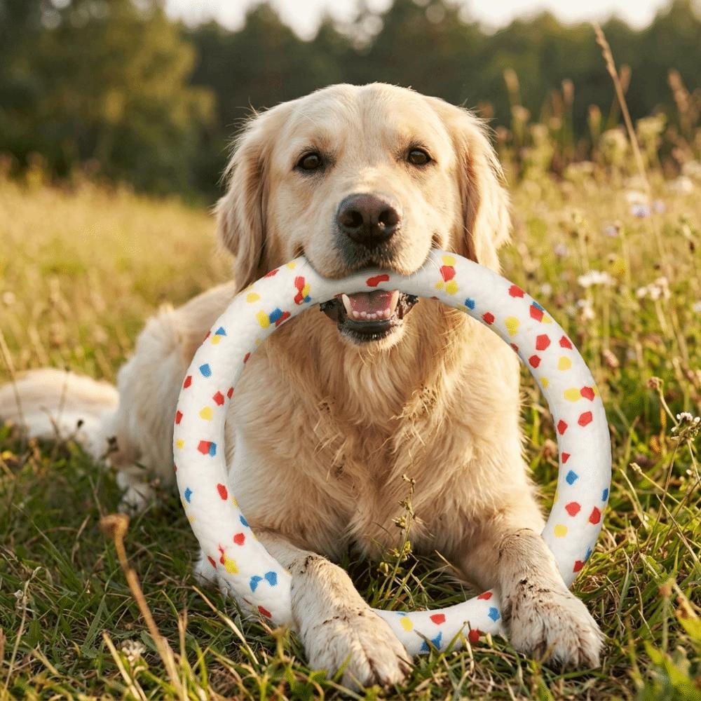 Solid Elastic Pet Chew Toy Colorful Pull Ring Dog Molar Ring  Pet Mood Calming