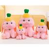 Bunny Plush Toy Cartoon Pineapple Figure Girl Children Birthday Holiday Gift