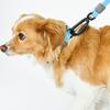 MUNIKUND Water-Block Collar Blue