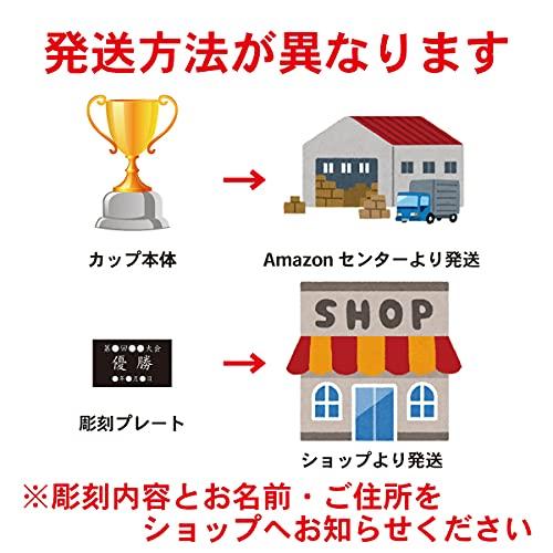 Metal Championship Cup AS-9110 [Free Plate Engraving] Available in 4 Sizes, Trophy, Award, Prize, Tournament, Souvenir, Ribbon (D Size, 13cm Tall)