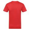 Wales Cymru Mens Polyester T-Shirt