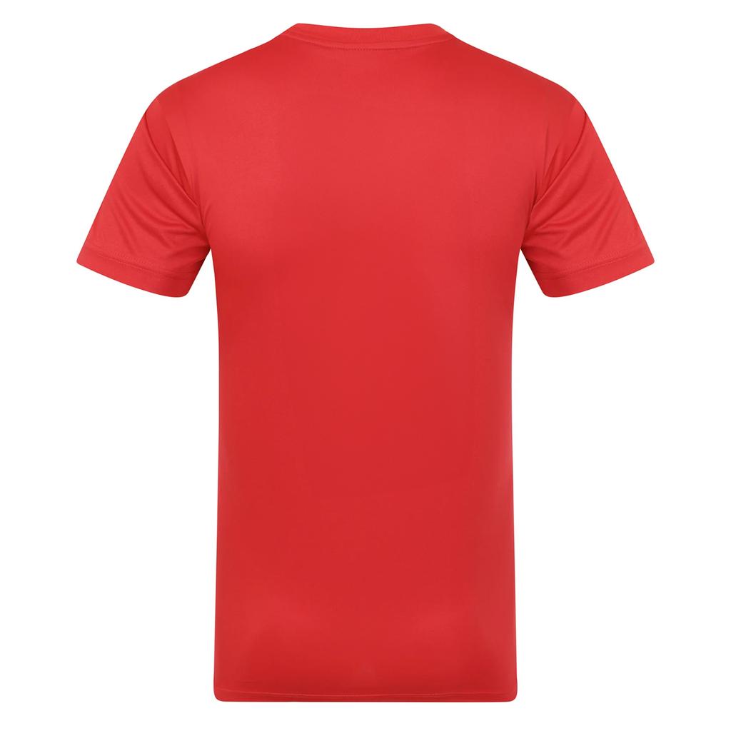Wales Cymru Mens Polyester T-Shirt