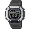 Часы Casio Sport MWD-110H-8BVEF